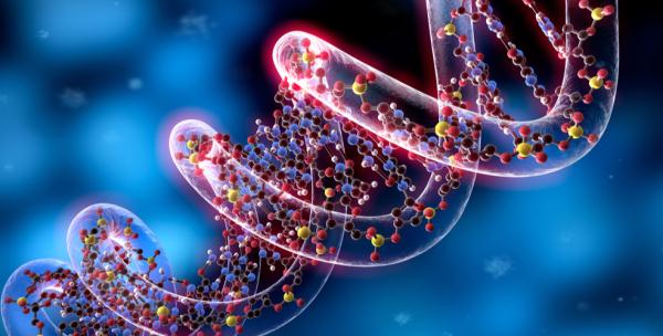 头发变白，原来是这里出了毛病！中医的养发方法奉上，让白发晚点来~