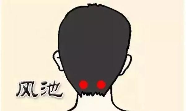 头发变白，原来是这里出了毛病！中医的养发方法奉上，让白发晚点来~